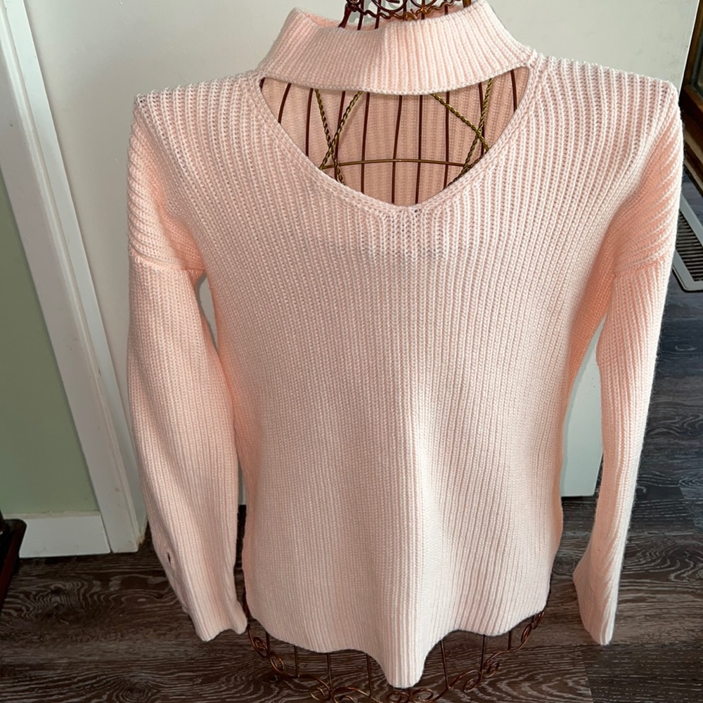 Light Pink Turtle Neck Sweater